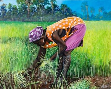 Artwork Title: Carolina Gold Rice