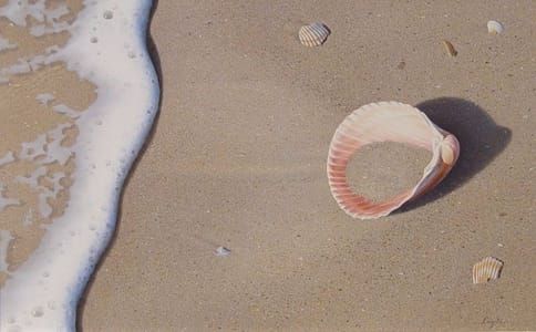 Artwork Title: Morning Ashore