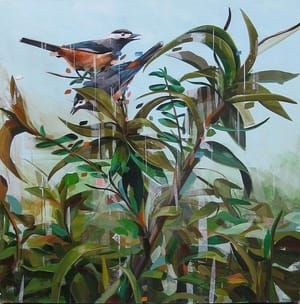 Artwork Title: Atop The Underbrush
