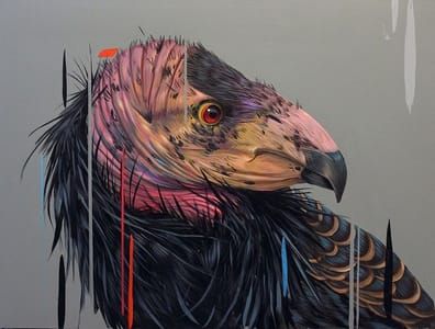 Artwork Title: California Condor