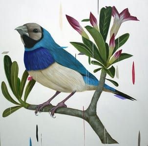 Artwork Title: Gouldian and Desert Rose