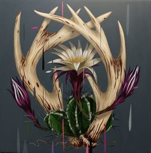 Artwork Title: Echinopsis and Antlers