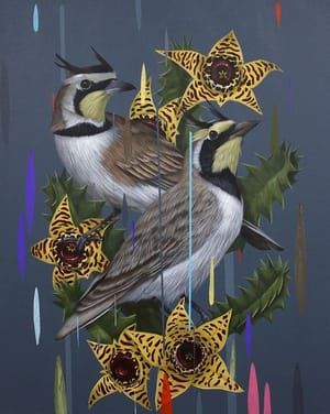 Artwork Title: Horned Larks and Huernia Zebrinas