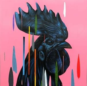 Artwork Title: Gallo Negro