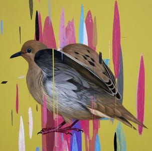Artwork Title: Mourning Dove