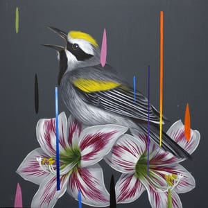 Artwork Title: Grey on Grey