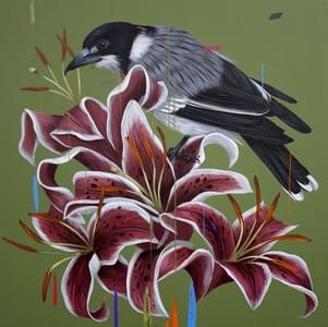 Artwork Title: Butcher Bird and Star Gazers