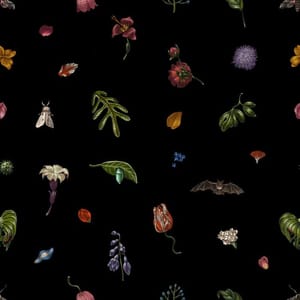 Artwork Title: Nocturnal Floral