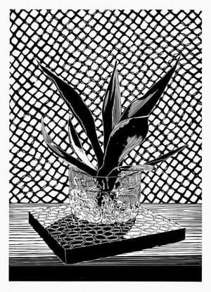 Artwork Title: Fensterbrett (Windowsill)