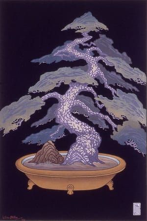 Artwork Title: Dwarf Pine Tree