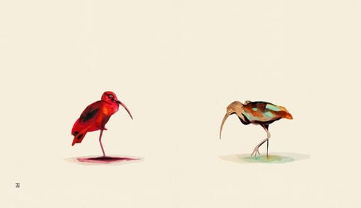 Artwork Title: The Ibis