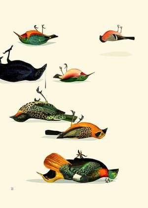 Artwork Title: Leave Them All Behind - Rephrasing Marie Kondo