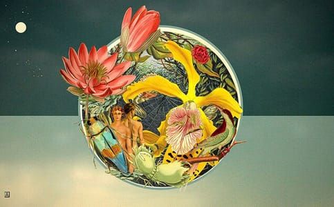 Artwork Title: Compassion Towards Earth and to All Living Things