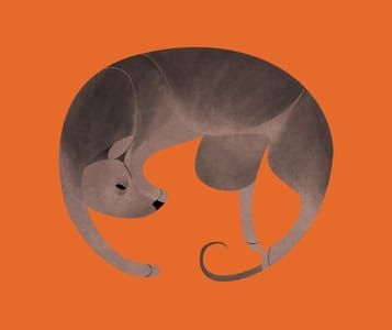 Artwork Title: Year of the Dog: Mexican Hairless Dog