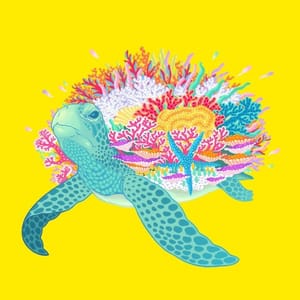 Artwork Title: Sea Turtle