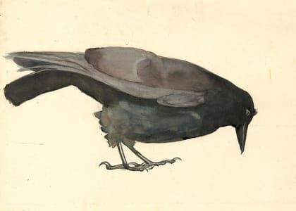 Artwork Title: Crow