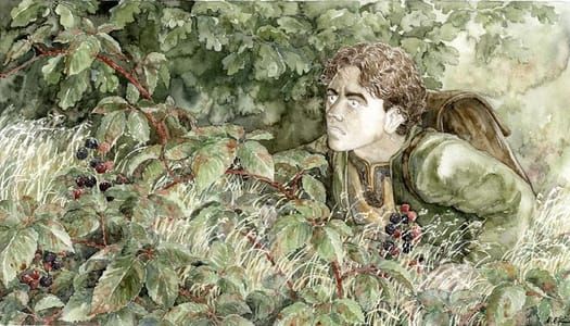 Artwork Title: Hiding from the Black Rider