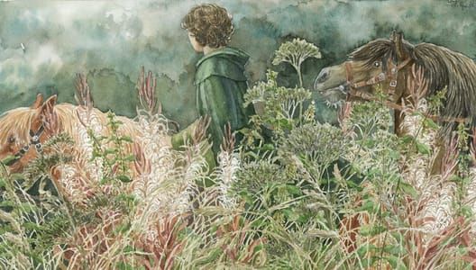 Artwork Title: The Bonfire Glade