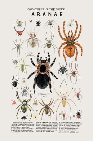 Artwork Title: Creatures of the Order Aranae