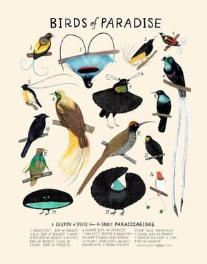 Artwork Title: Birds of Paradise