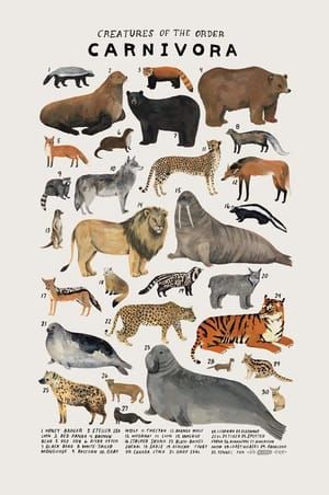 Artwork Title: Creatures of the Order Carnivora