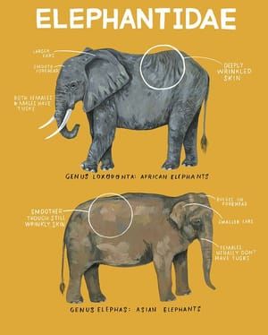 Artwork Title: Elephants