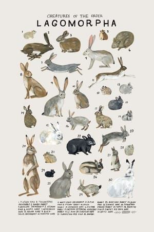 Artwork Title: Creatures of the Order Lagomorpha
