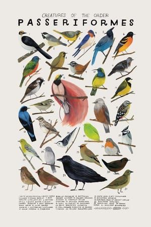 Artwork Title: Creatures of the Order Passeriformes