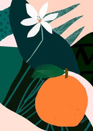 Artwork Title: Orange