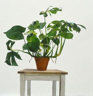 Artwork Title: Forest on a Table