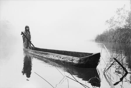 Artwork Title: Morning Fog