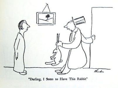 Artwork Title: Darling, I Seem to Have This Rabbit