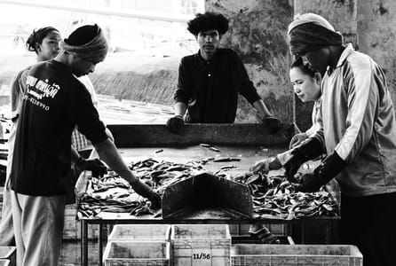 Artwork Title: Fishermen sorting their catch at the docks, in Phrachuap Khiri Khan