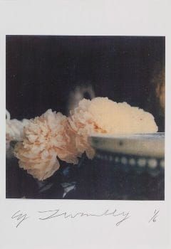 Artwork Title: Peonies, Bassano in Teverina