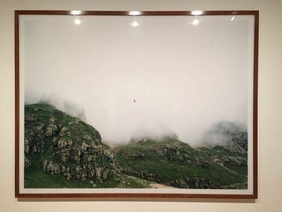 Artwork Title: Untitled