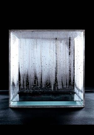 Artwork Title: Condensation Box