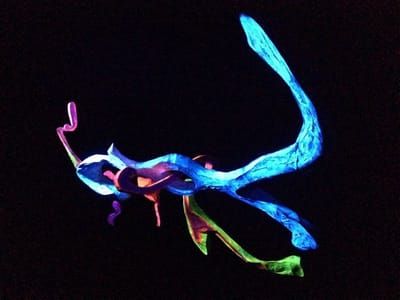 Artwork Title: Spatial environment in black light