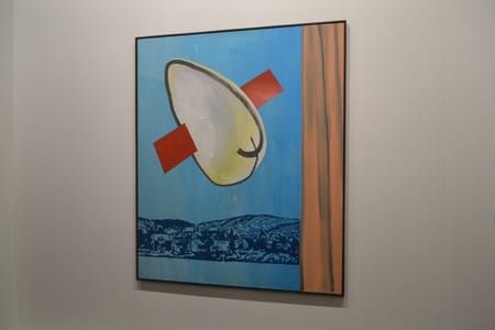 Artwork Title: Unidentified Object Discovered Through Selters