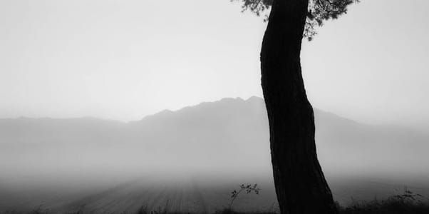 Artwork Title: Sonamu