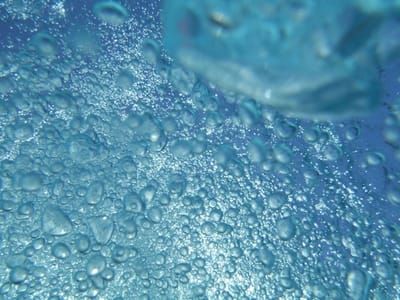 Artwork Title: Companionble Bubbles