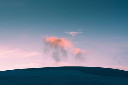 Artwork Title: Untitled