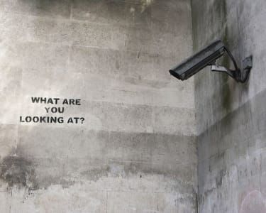 Artwork Title: What Are You Looking At?