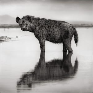 Artwork Title: Untitled