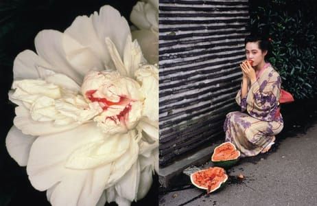 Artwork Title: Araki