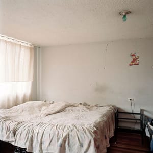 Artwork Title: Dog Days, Bogotá - Untitled 10