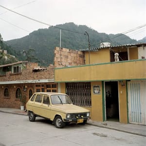 Artwork Title: Dog Days, Bogotá - Untitled 08