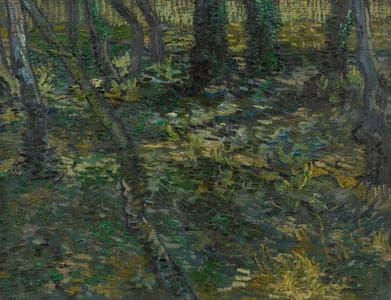 Artwork Title: Undergrowth