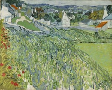 Artwork Title: Vineyards at Auvers