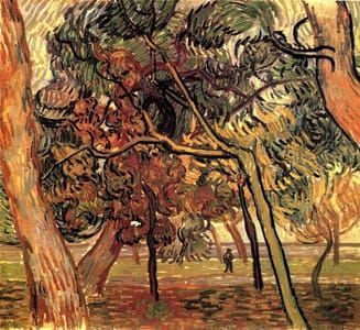 Artwork Title: Study of Pines Trees
