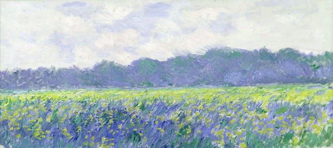 Artwork Title: Champ d’iris à Giverny